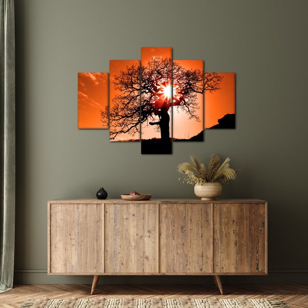 Tablou - Fag la apus de soare (150x105 cm)