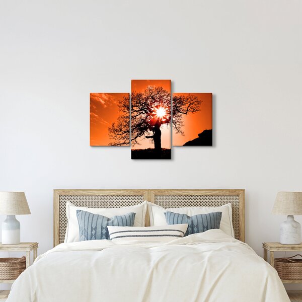 Tablou - Fag la apus de soare (90x60 cm)