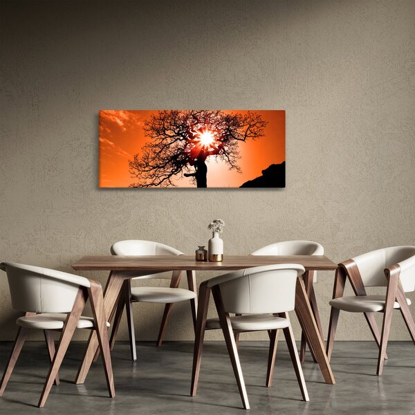 Tablou - Fag la apus de soare (120x50 cm)