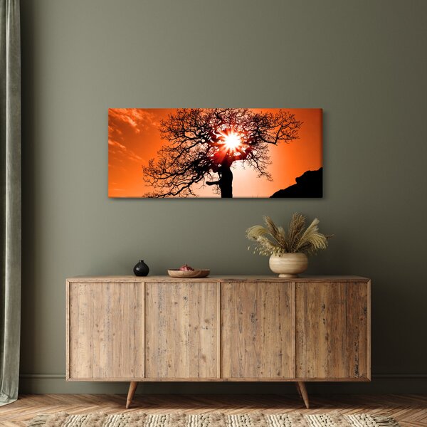 Tablou - Fag la apus de soare (120x50 cm)