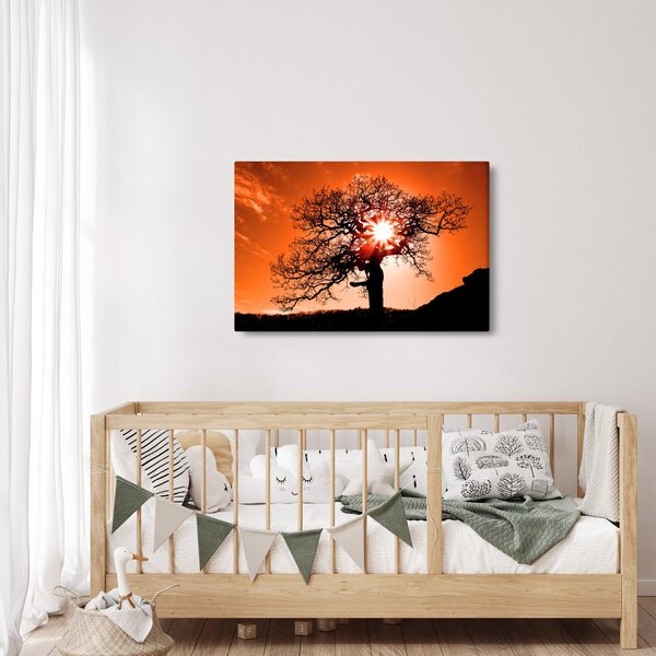 Tablou - Fag la apus de soare (90x60 cm)