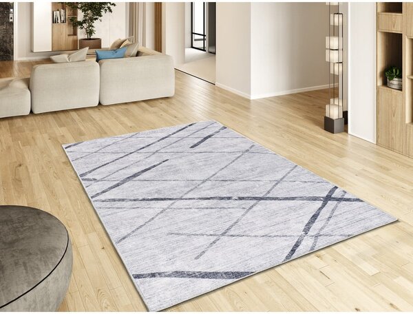 Covor gri deschis 160x230 cm Class – Universal
