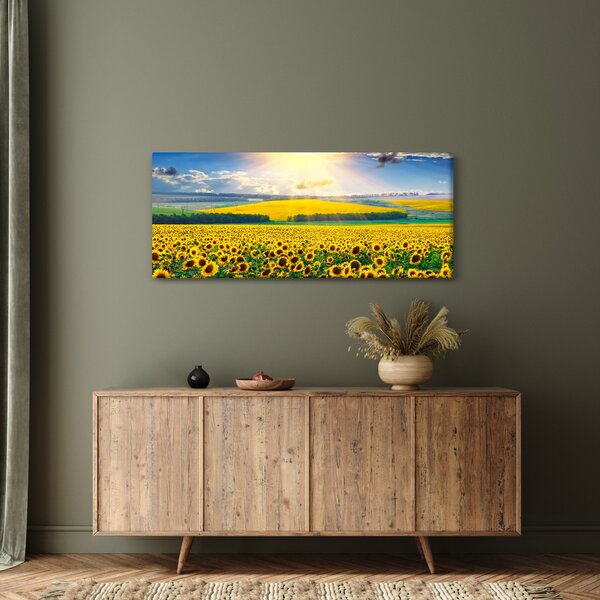 Tablou - Câmp cu floarea soarelui (120x50 cm)