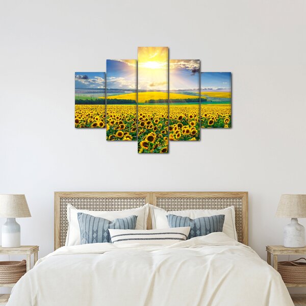 Tablou - Câmp cu floarea soarelui (150x105 cm)