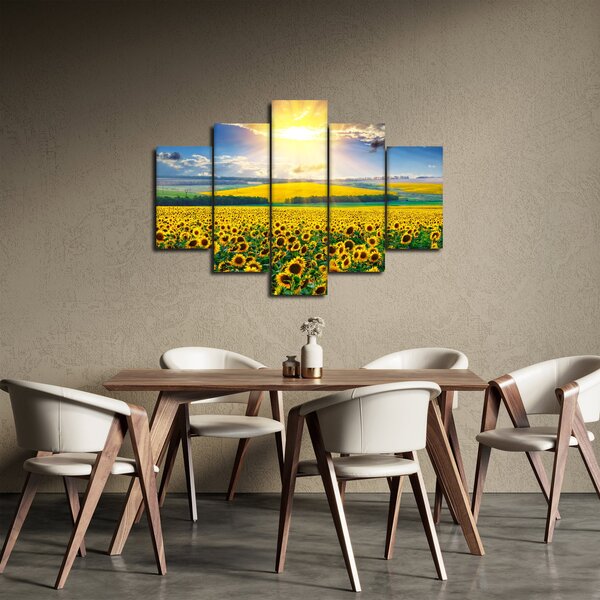 Tablou - Câmp cu floarea soarelui (150x105 cm)