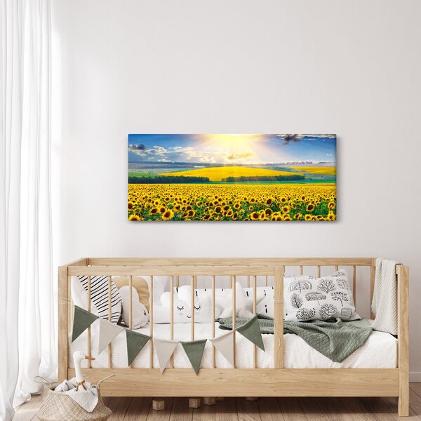 Tablou - Câmp cu floarea soarelui (120x50 cm)