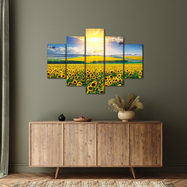 Tablou - Câmp cu floarea soarelui (150x105 cm)