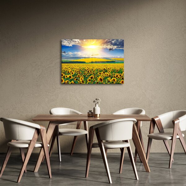 Tablou - Câmp cu floarea soarelui (70x50 cm)