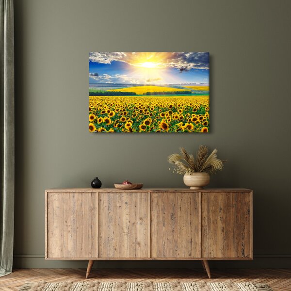 Tablou - Câmp cu floarea soarelui (90x60 cm)