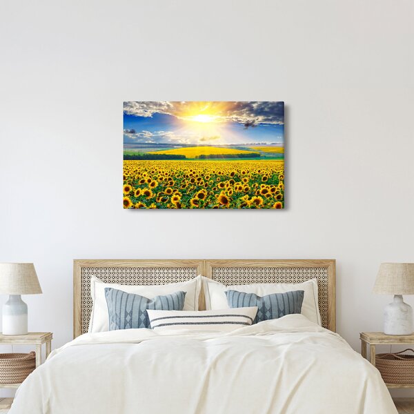 Tablou - Câmp cu floarea soarelui (90x60 cm)