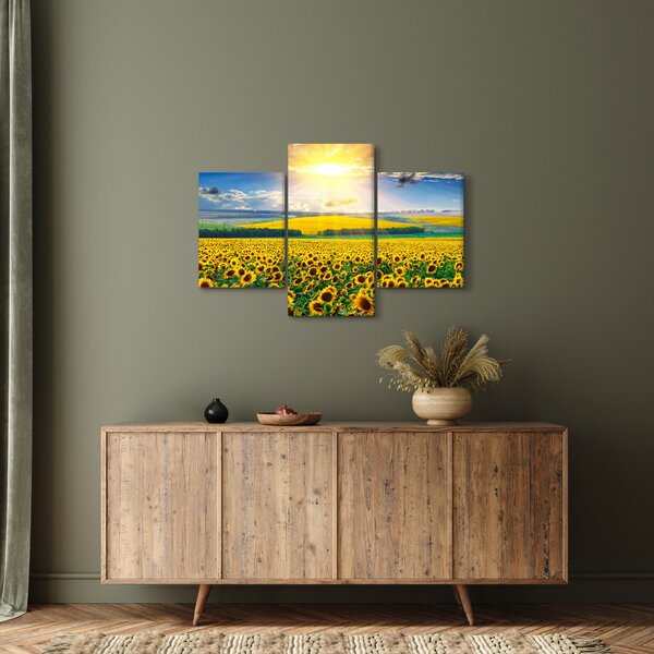 Tablou - Câmp cu floarea soarelui (90x60 cm)