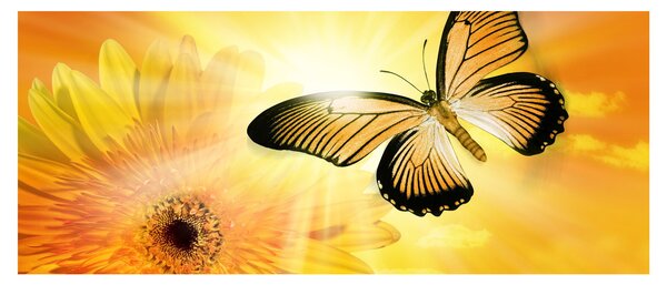 Tablou - Fluture galben cu flori (120x50 cm)