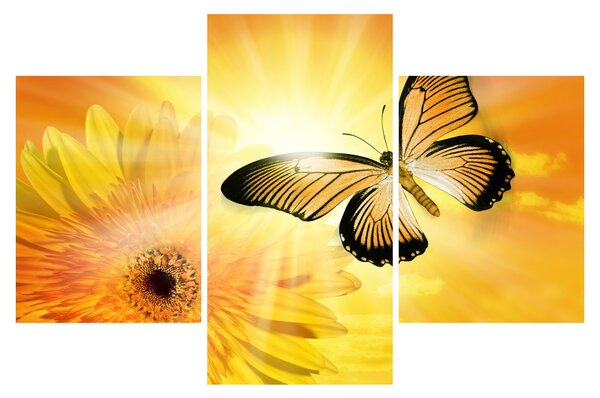 Tablou - Fluture galben cu flori (90x60 cm)