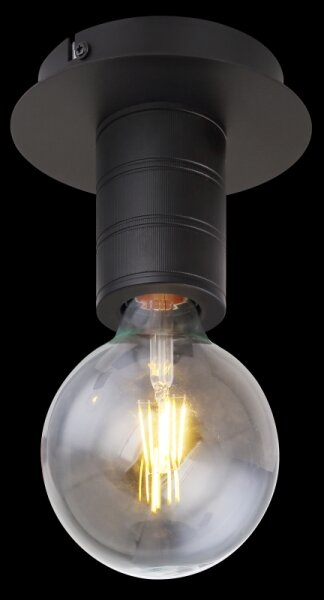 Globo 54030-1D - Plafonieră HERMINE 1xE27/60W/230V