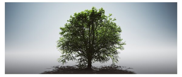 Tablou - Copacul singuratic (120x50 cm)