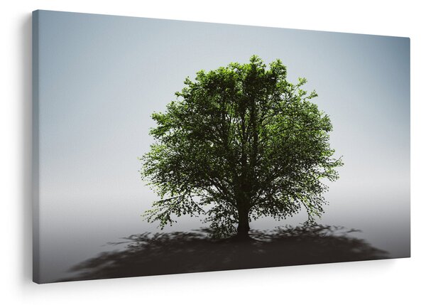 Tablou - Copacul singuratic (90x60 cm)