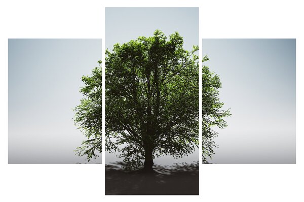 Tablou - Copacul singuratic (90x60 cm)