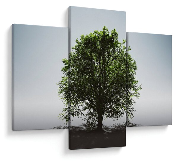 Tablou - Copacul singuratic (90x60 cm)