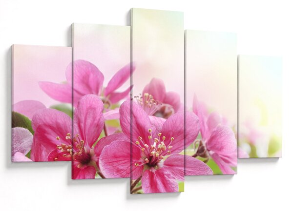 Tablou - Flori roz (150x105 cm)