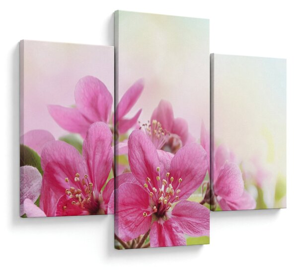 Tablou - Flori roz (90x60 cm)