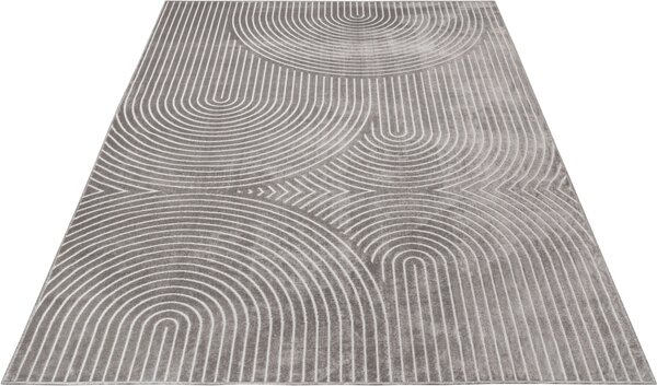 Covor subtire Faron gri 120/160 cm