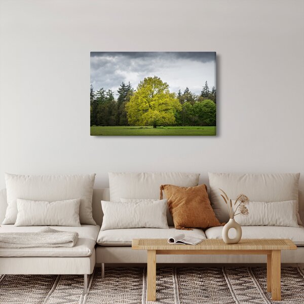 Tablou - Copac verde în câmp (90x60 cm)