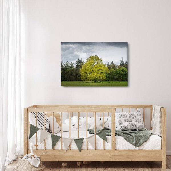 Tablou - Copac verde în câmp (90x60 cm)