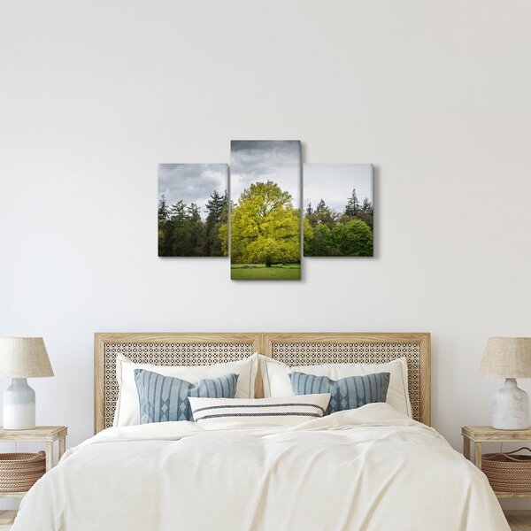 Tablou - Copac verde în câmp (90x60 cm)