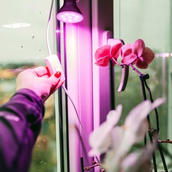 Bec LED pentru creșterea plantelor PLANTY E27/7W/230V 1200K negru