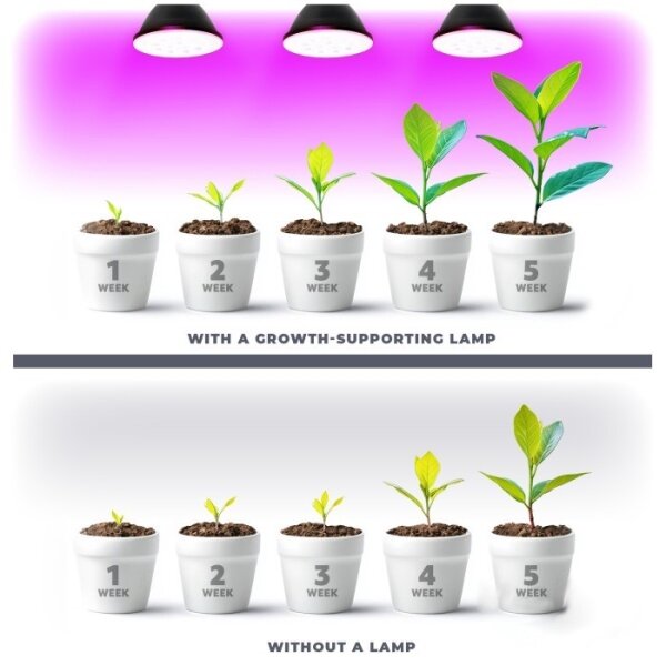 Bec LED pentru creșterea plantelor PLANTY E27/7W/230V 1200K negru