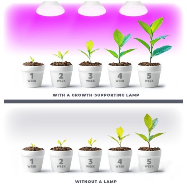 Bec LED pentru creșterea plantelor PLANTY E27/7W/230V 1200K alb