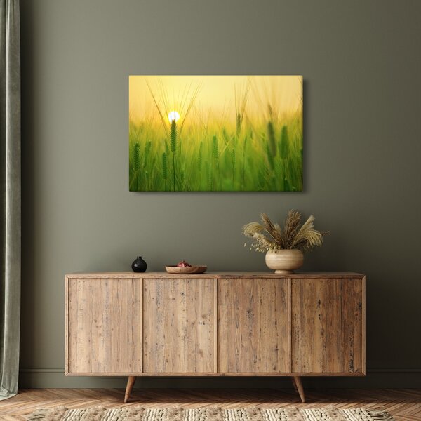 Tablou - Câmp cu cereale (90x60 cm)