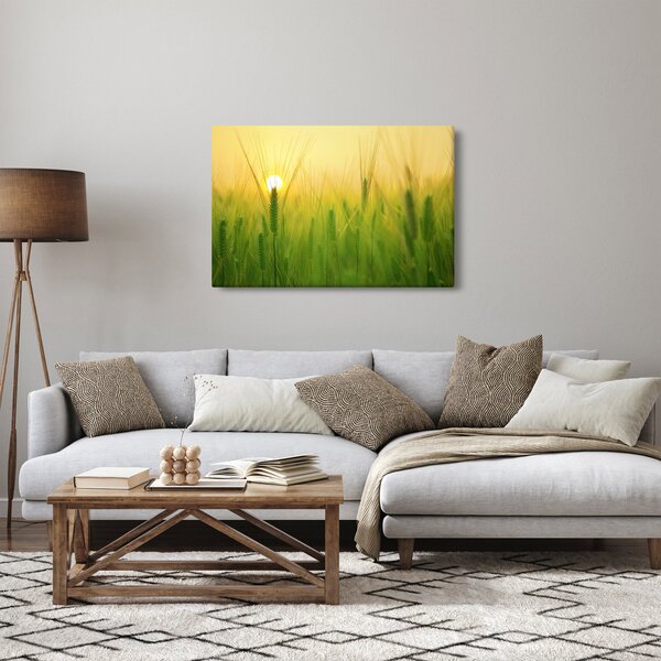 Tablou - Câmp cu cereale (90x60 cm)