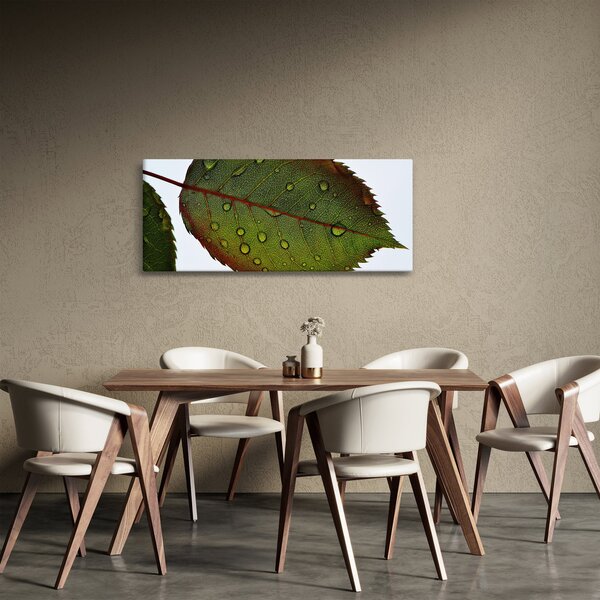 Tablou - Frunze de trandafir (120x50 cm)