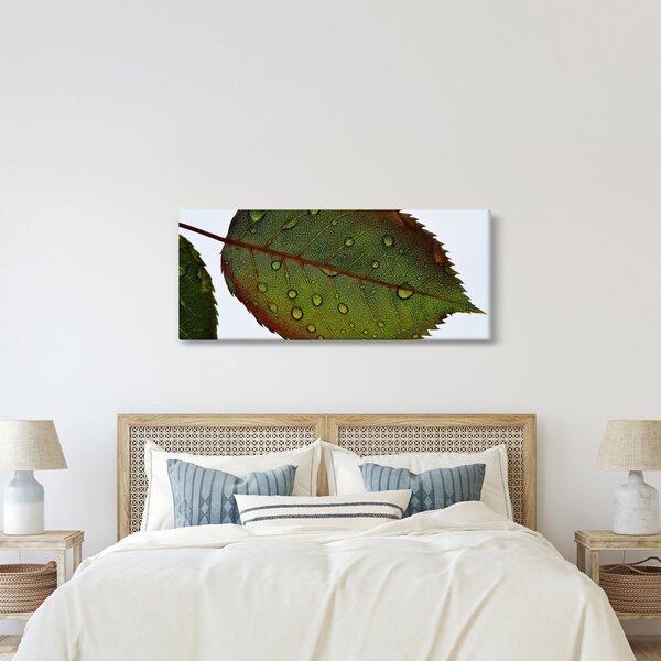 Tablou - Frunze de trandafir (120x50 cm)
