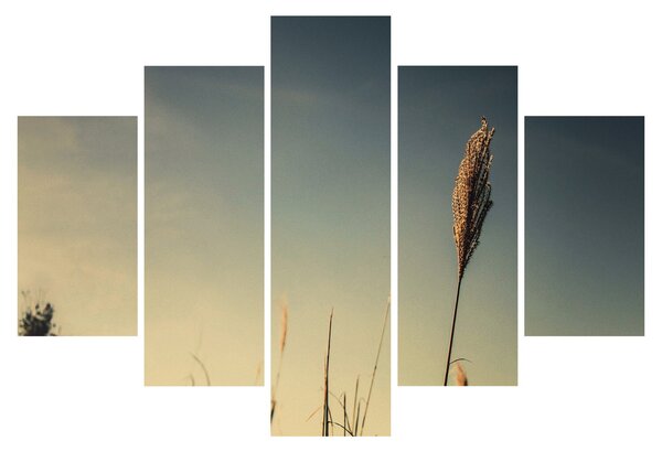 Tablou - Iarba (150x105 cm)