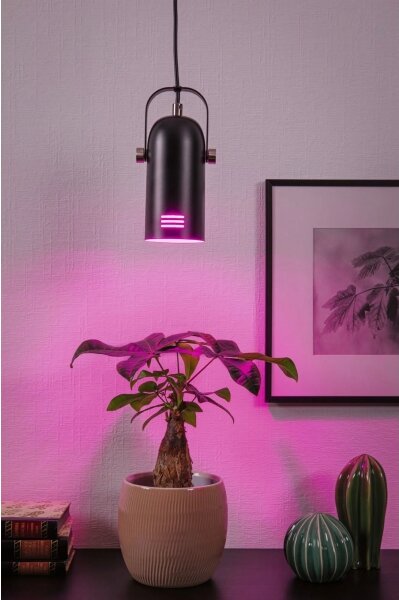Paulmann LAVEA 79766 - Lustră suspendată pe cablu LED RGBW 1xE27/9W 230V, neagră