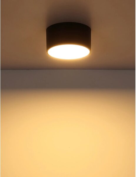 Globo 56964S - Plafonieră LED RAYMOND LED/12W/230V 3000K diam. 15 cm negru