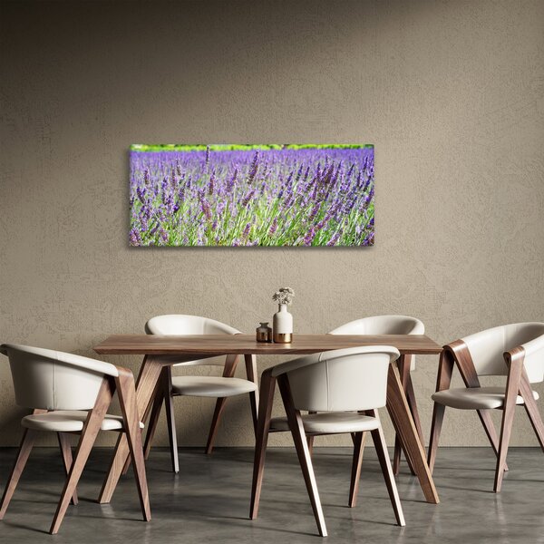 Tablou - Lavandă în câmp (120x50 cm)