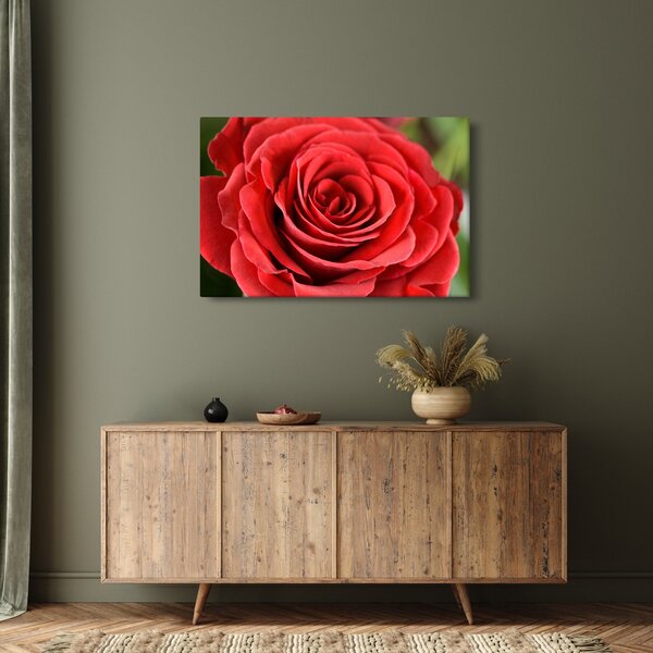 Tablou - Flori de trandafir (90x60 cm)