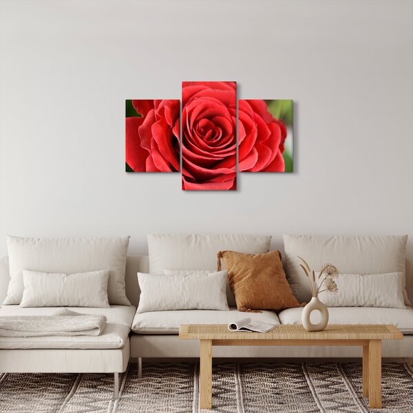 Tablou - Flori de trandafir (90x60 cm)