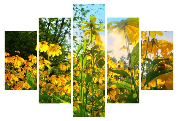 Tablou - Flori galbene (150x105 cm)