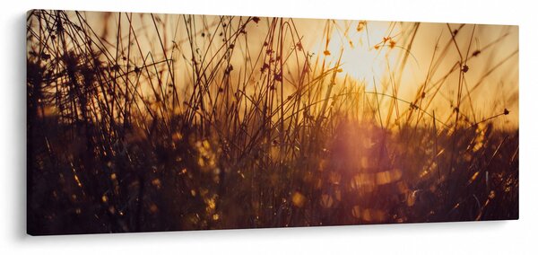 Tablou - Câmp la apus de soare (120x50 cm)