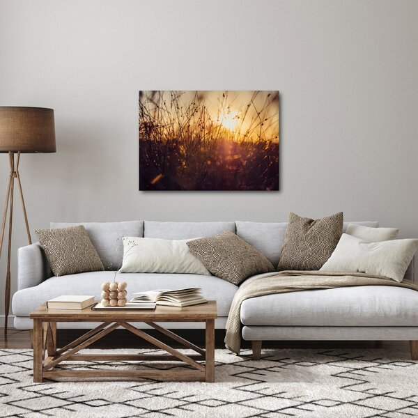 Tablou - Câmp la apus de soare (70x50 cm)