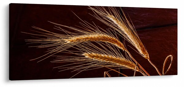 Tablou - Spic în prim plan (120x50 cm)