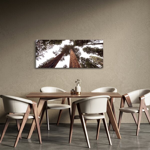 Tablou - Privire prin vârfurile copacilor (120x50 cm)