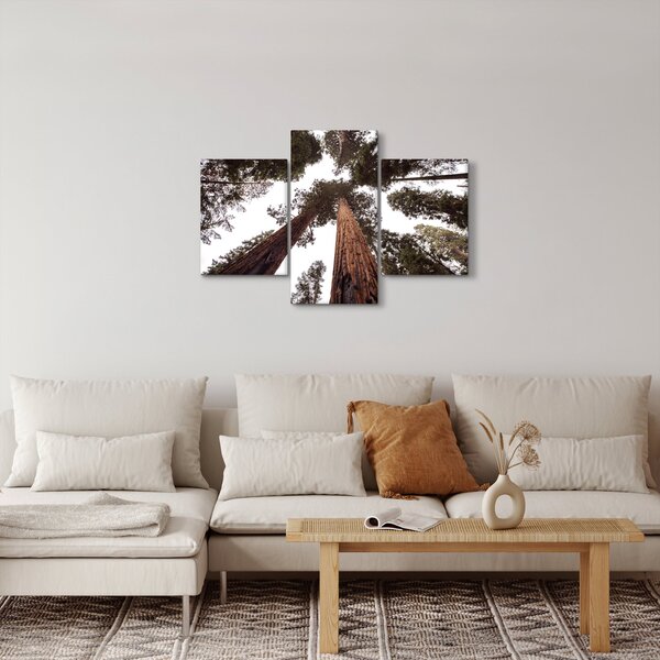 Tablou - Privire prin vârfurile copacilor (90x60 cm)
