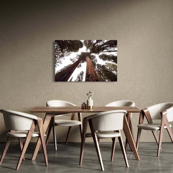 Tablou - Privire prin vârfurile copacilor (90x60 cm)