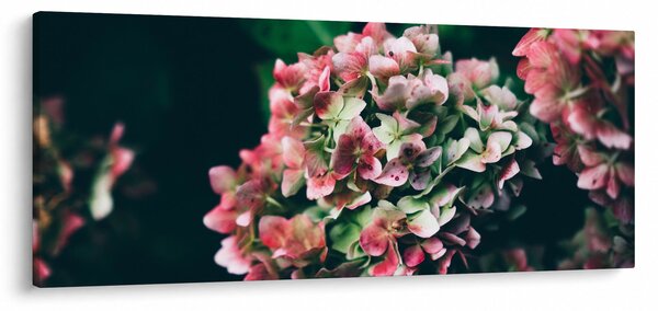 Tablou - Hortensie (120x50 cm)