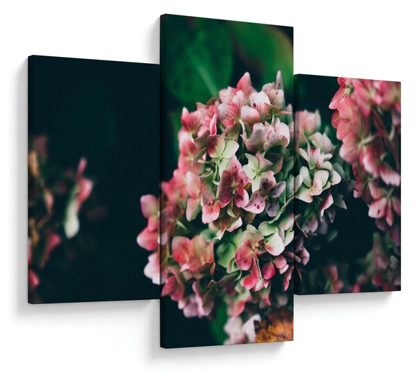 Tablou - Hortensie (90x60 cm)